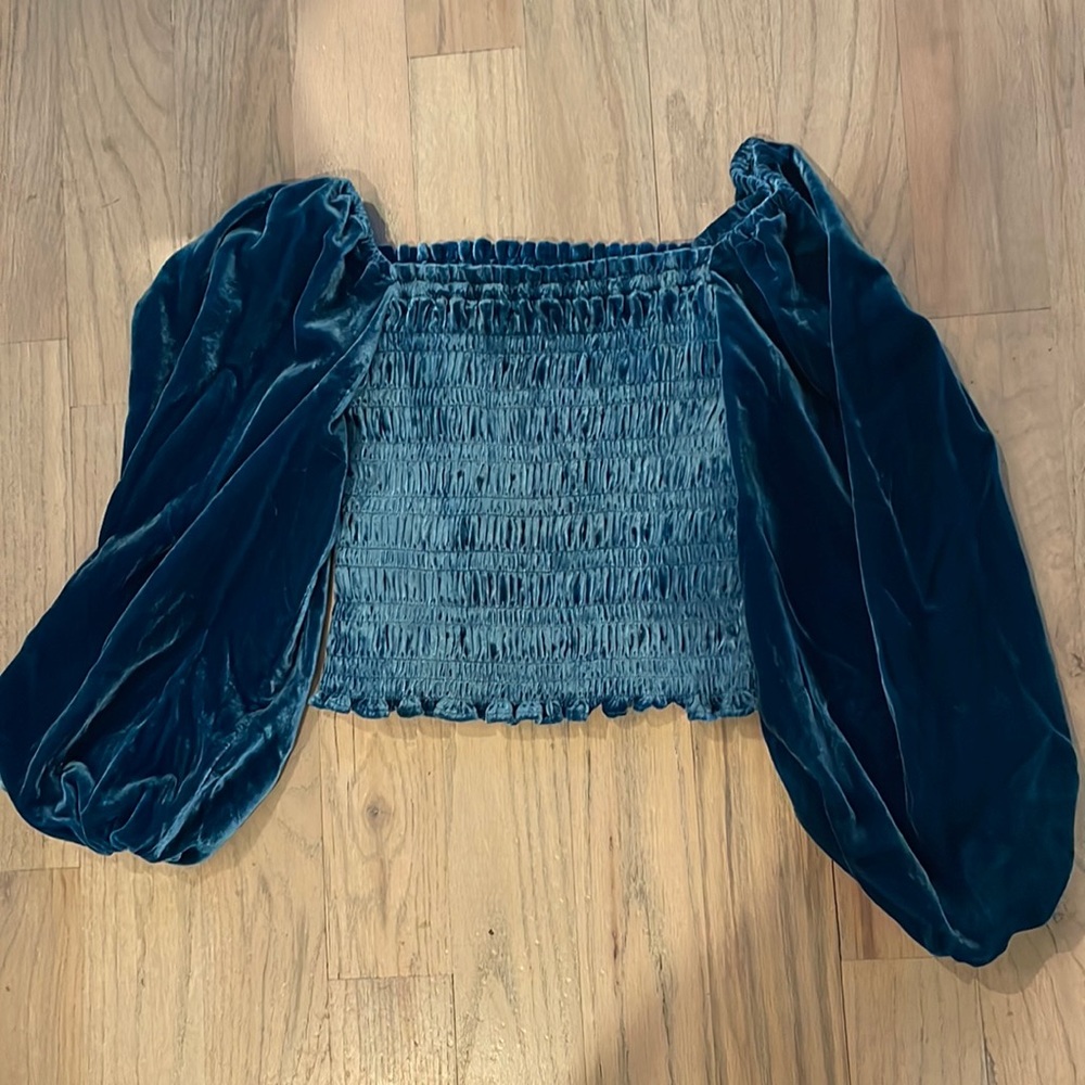 Anthropologie Velvet Crop Top